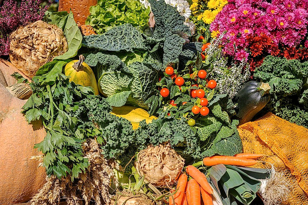 Customer Service Tips for Produce E-Commerce